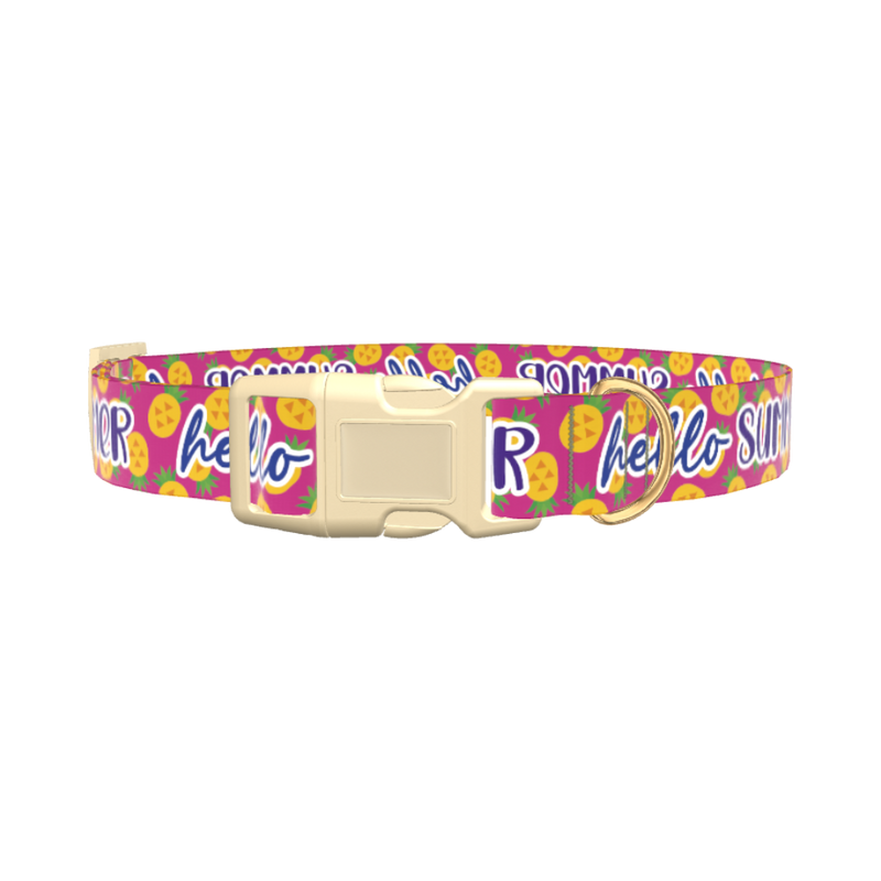 Tropical Summer Dog Collar - plastic silver