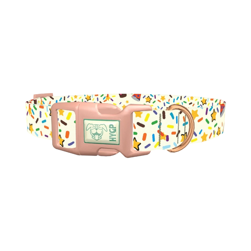 Birthday Boy Celebration Dog Collar - plastic rose gold