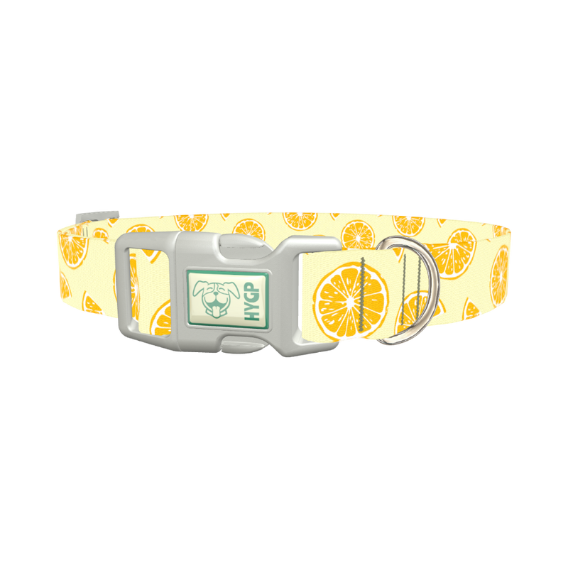 Yellow Citrus Slice Dog Collar