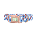Blue Patriotic Stars Dog Collar - plastic rose gold