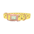 Bee Science Dog Collar - plastic rose gold