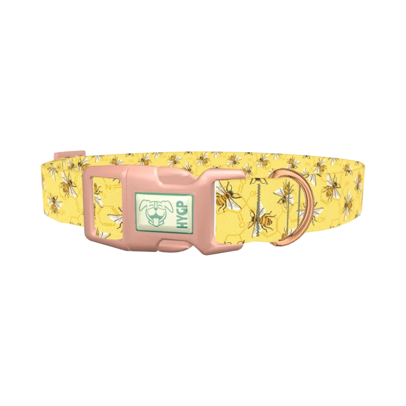 Bee Science Dog Collar - plastic rose gold