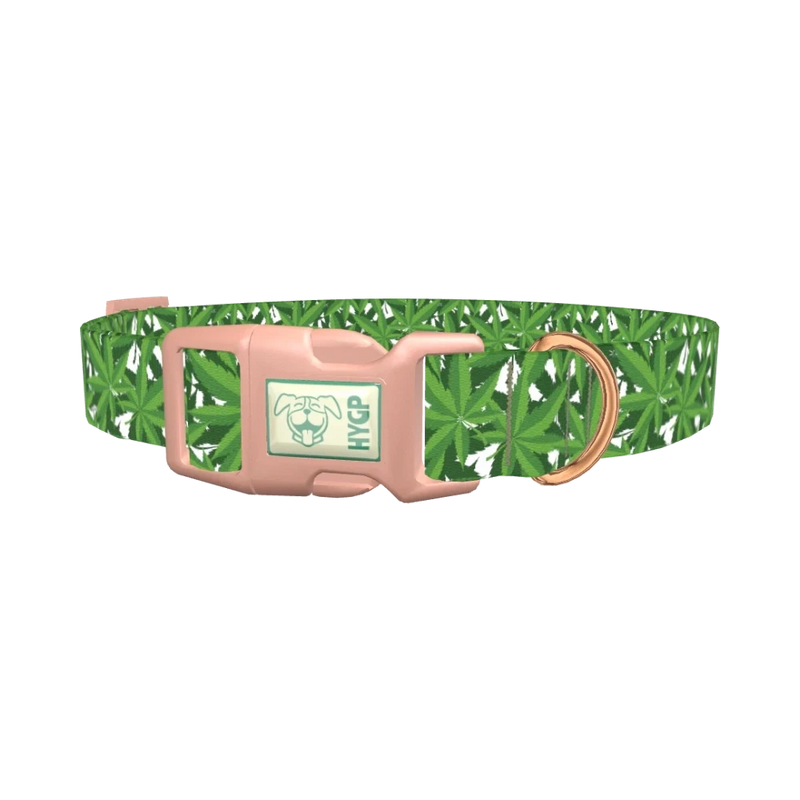 Leaf Pattern Dog Collar - plastic rose gold