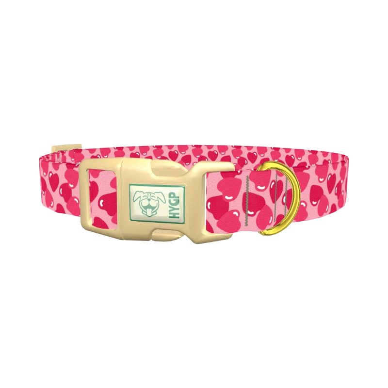 Geometric Red Heart Dog Collar - plastic gold