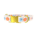 Halloween Embroidery Dog Collar - metal rose gold