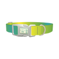 Gradient Color Dog Collar - plastic silver