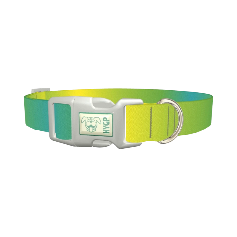 Gradient Color Dog Collar - plastic silver