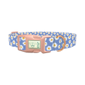 Blue Polka Dot Daisy Dog Collar - plastic rose gold