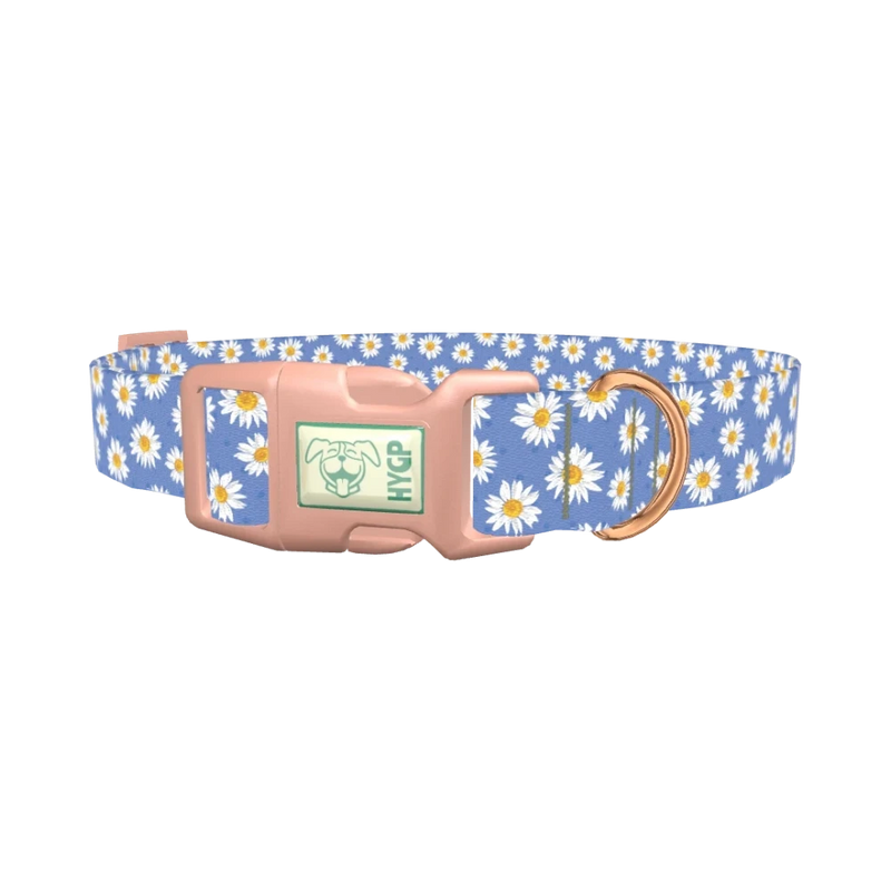 Blue Polka Dot Daisy Dog Collar - plastic rose gold