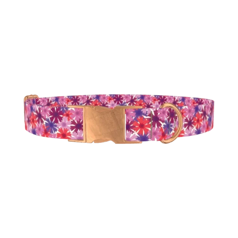 Colorful Cornflower Dog Collar - metal rose gold