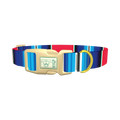 Vivid Stripe Dog Collar - plastic gold