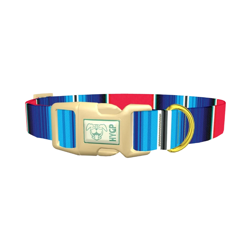 Vivid Stripe Dog Collar - plastic gold