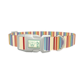 Rainbow Stripe Dog Collar - plastic silver