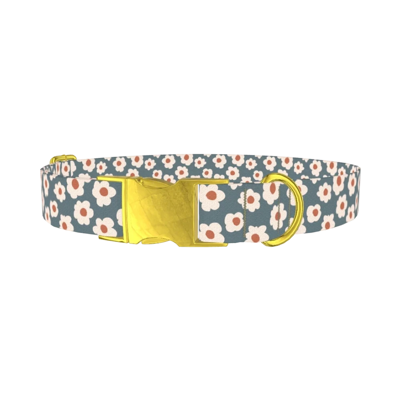 Dark Grey Daisy Dog Collar - metal gold