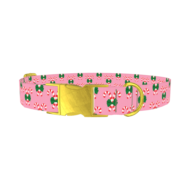 Christmas Candy Cane Dog Collar - metal gold