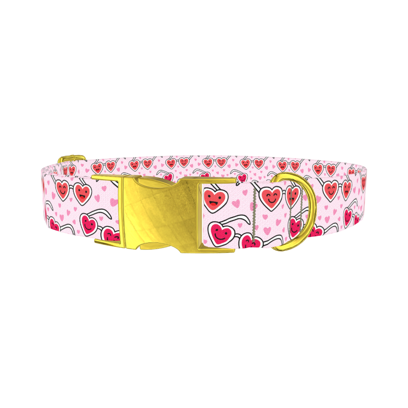 Heart Glasses Dog Collar - metal gold