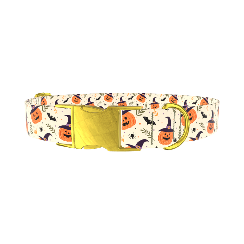 Witchy Pumpkin Halloween Dog Collar - metal rose gold