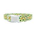 Leprechaun Rainbow Dog Collar - plastic rose gold