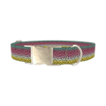 Rainbow Trout Pattern Dog Collar - metal silver