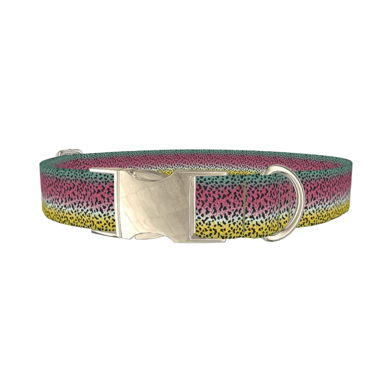 Rainbow Trout Pattern Dog Collar - metal silver