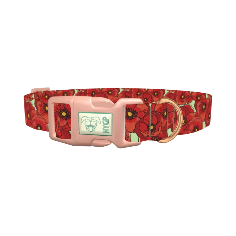Floral Poppy Dog Collar - plastic rose gold