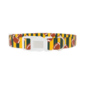 Green Stripe Football Dog Collar - plastic silver
