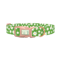 Floral Daisy Dog Collar - plastic rose gold