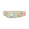 Floral Tulip Stripes Dog Collar - plastic silver