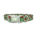 Green Football Field Dog Collar - plastic silver