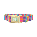 Color Block Stripes Dog Collar - plastic gold