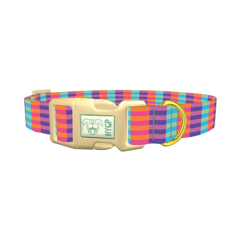 Color Block Stripes Dog Collar - plastic gold