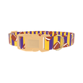 Purple Stripe Football Dog Collar - plastic gold