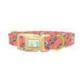 Pink Rosehip Dog Collar - plastic gold
