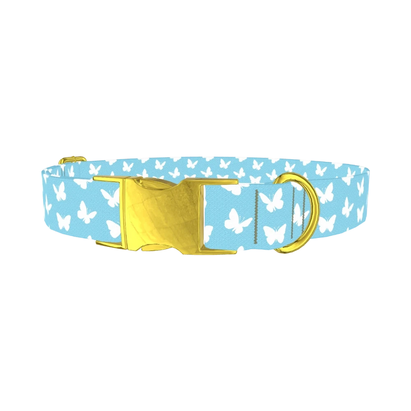 Sky Blue Butterfly Dog Collar - metal gold