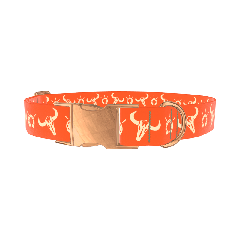 Western Skull Dog Collar - metal silver