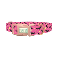 Halloween Bats Dog Collar - plastic rose gold