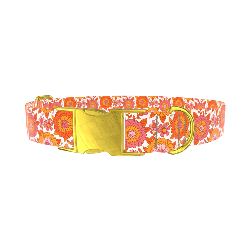 Orange Floral Burst Dog Collar - metal gold