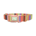 Green Striped Dog Collar - plastic rose gold