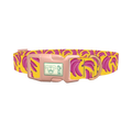 Fruit Banana Dog Collar - plastic rose gold