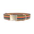 Colorful Honeycomb Dog Collar - metal gold