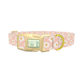 Peach Daisy Pattern Dog Collar - plastic gold
