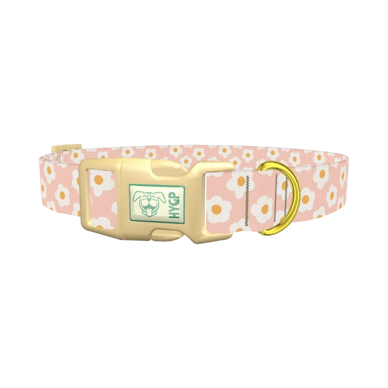 Peach Daisy Pattern Dog Collar - plastic gold