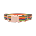 Colorful Honeycomb Dog Collar - plastic gold