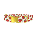 Tomato Pattern Dog Collar - metal gold