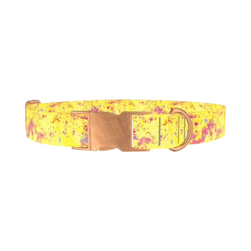 Yellow Abstract Splatter Dog Collar - metal rose gold