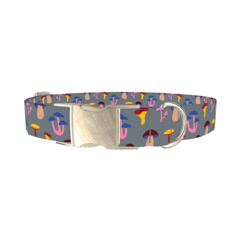 Colorful Mushroom Dog Collar - metal silver