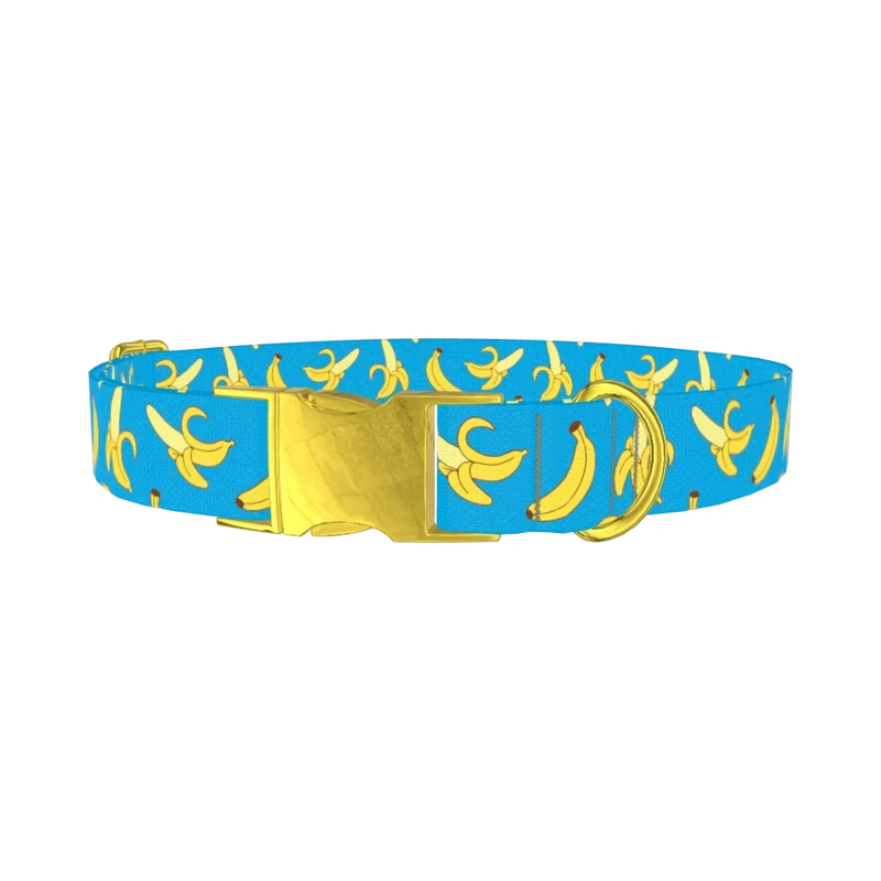 Banana Fruit Dog Collar - metal gold