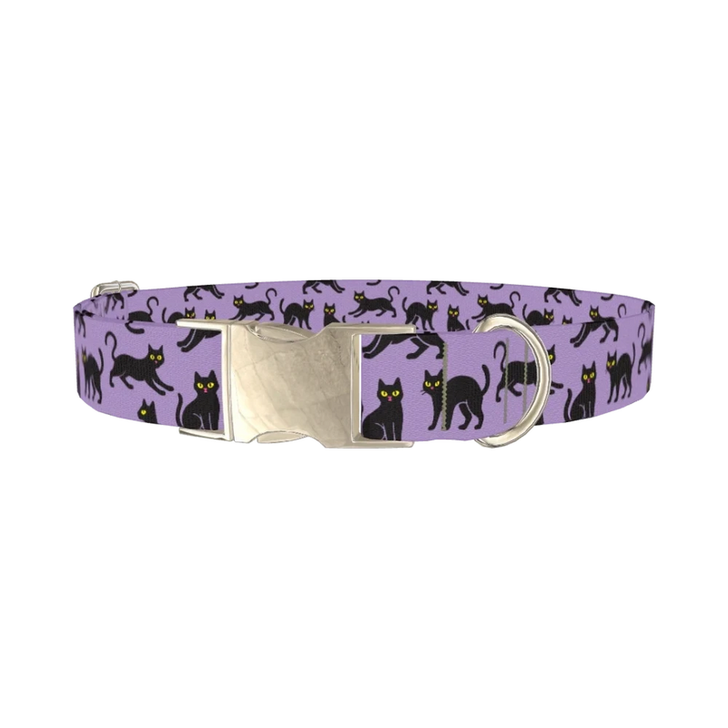Purple Black Cat Halloween Dog Collar - metal silver