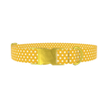 Polka Dot Dog Collar - metal gold