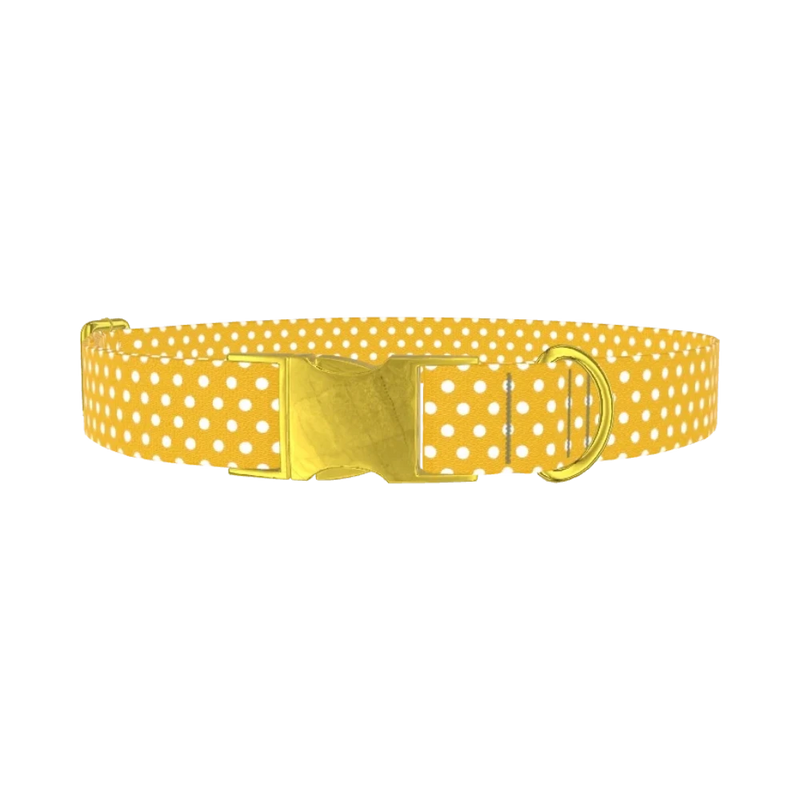 Polka Dot Dog Collar - metal gold